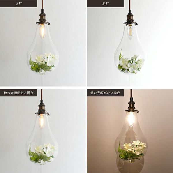 ペンダントライト LED 電球付 グリーン 緑 植物 テラリウム 電球型
