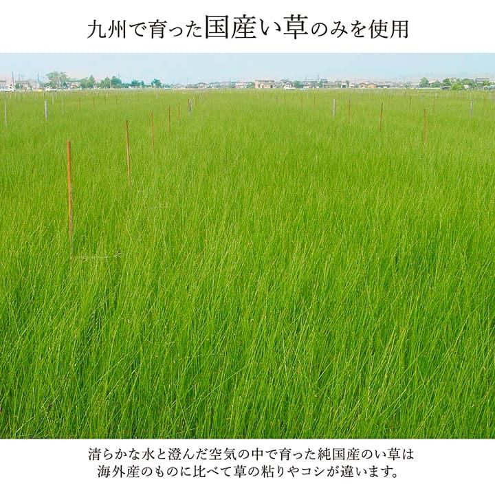 (タイムセール中) 花ござ 約174×261cm 3畳 江戸間 国産い草 夏 リビング
