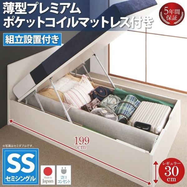 (組立設置付) フラットヘッド跳ね上げ収納ベッド セミシングルベッド マットレス付き 薄型プレミアムポケットコイル 深さレギュラー