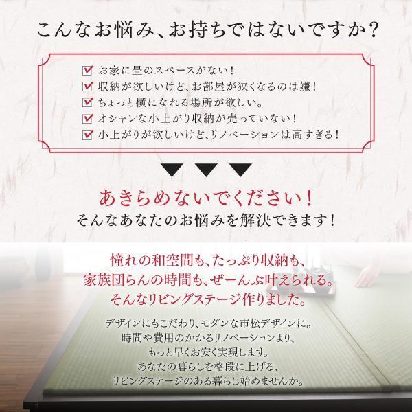(タイムセール中) 畳ボックス収納 120×120cm ハイタイプ 日本製 収納付きデザイン畳_3