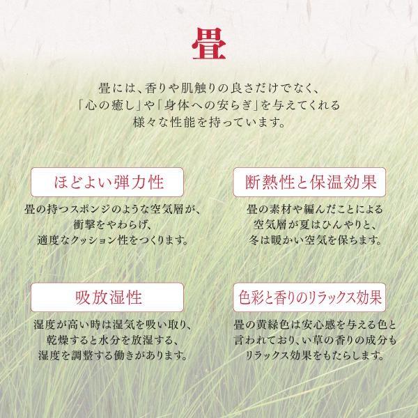 (タイムセール中) 畳ボックス収納 180×240cm ロータイプ 日本製 収納付きデザイン畳_10