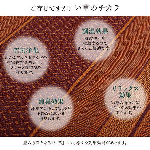 (タイムセール中) い草マット 廊下カーペット 約80×180cm おしゃれ 国産