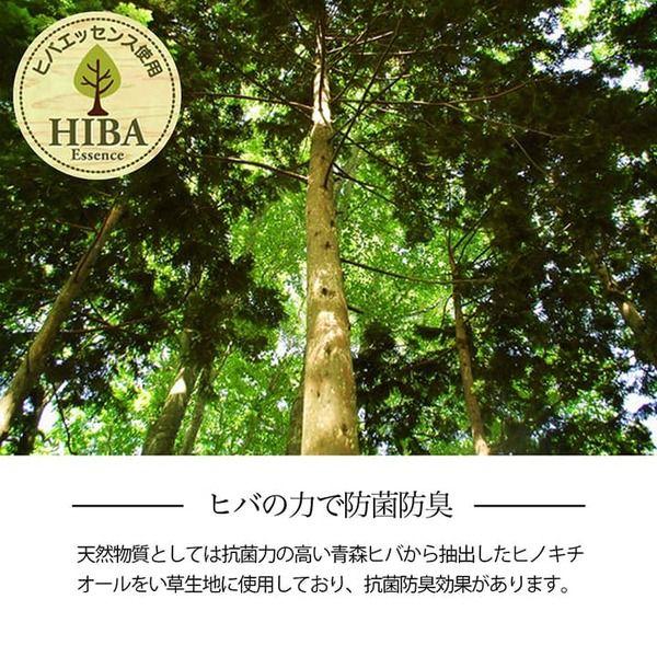 (タイムセール中) い草ラグ 江戸間8畳(約348×352cm) おしゃれ 花ござ 和室 抗菌防臭