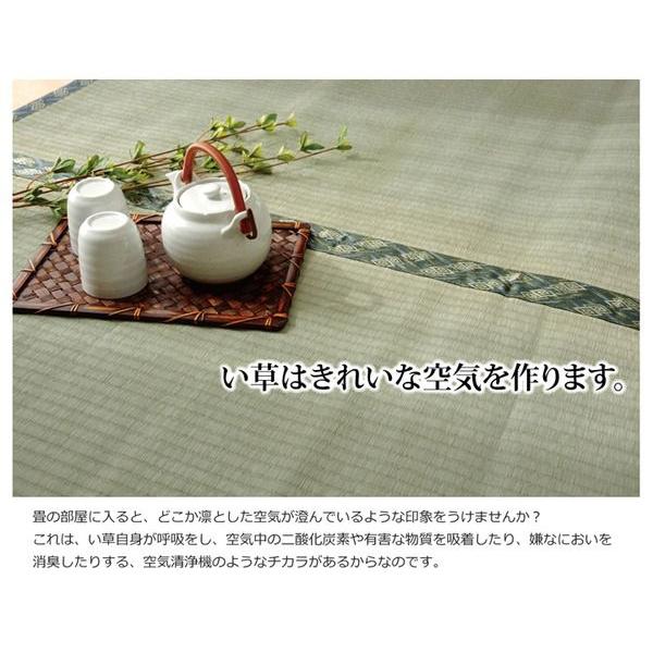 (タイムセール中) 上敷き 江戸間10畳 約440×352cm い草ラグ 国産