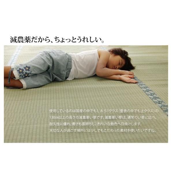 (タイムセール中) 上敷き 江戸間10畳 約440×352cm い草ラグ 国産