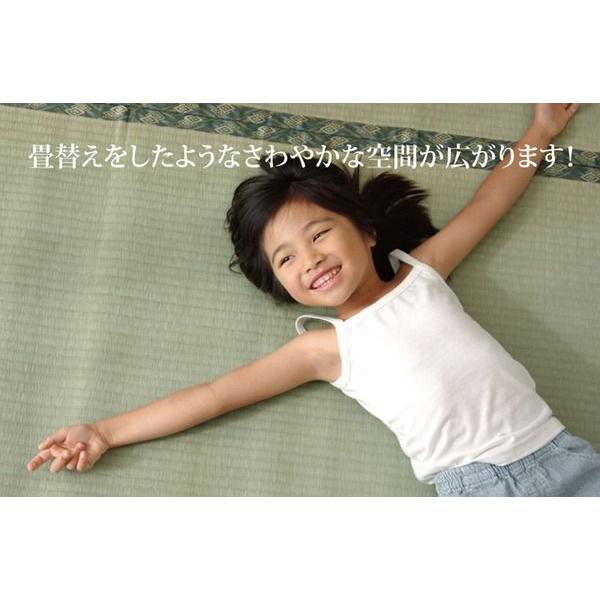 (タイムセール中) 上敷き 三六間8畳 約364×364cm い草ラグ 国産_3