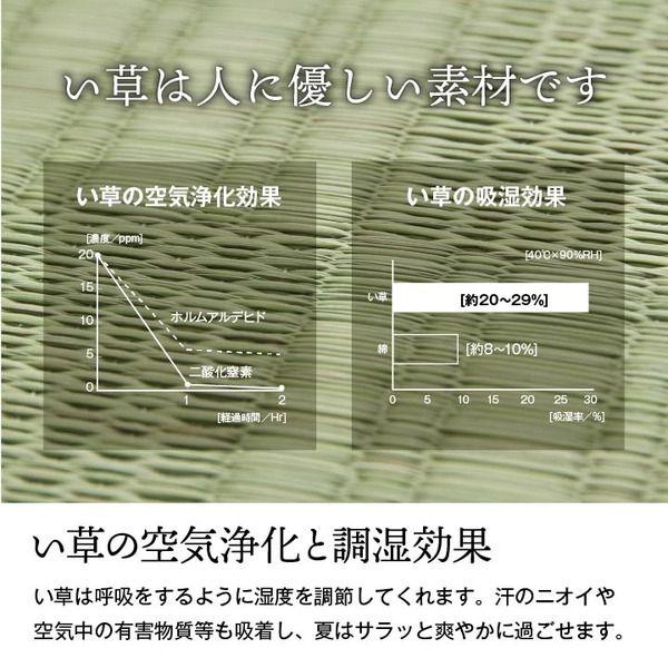 (タイムセール中) 上敷き 江戸間3畳 約174×261cm 純国産い草 格子柄