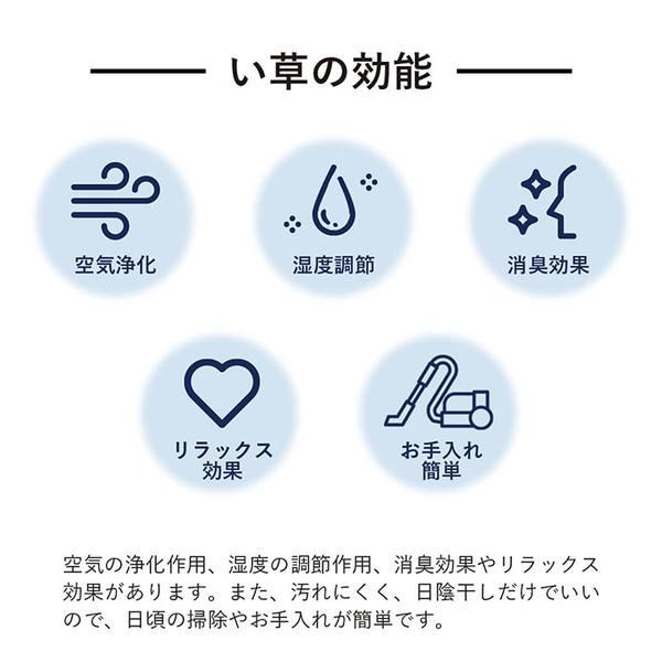 上敷き 本間1畳(約95.5×191cm) ゴザ い草 国産
