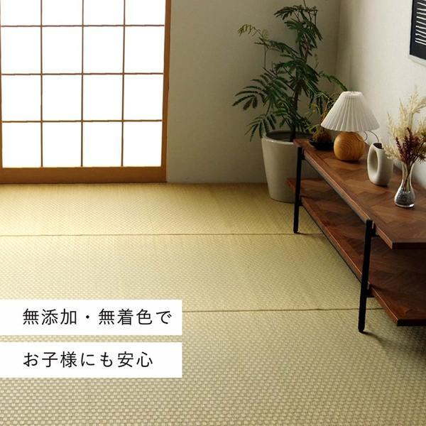 上敷き 本間1畳(約95.5×191cm) ゴザ い草 国産