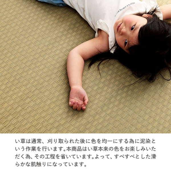 上敷き 本間1畳(約95.5×191cm) ゴザ い草 国産