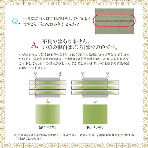 (タイムセール中) 上敷き 江戸間3畳(約174×261cm) ゴザ い草 国産 抗菌防臭