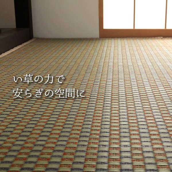 (タイムセール中) 上敷き 江戸間3畳(約174×261cm) ゴザ い草 国産 抗菌防臭