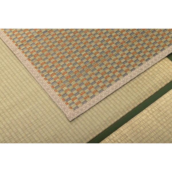 上敷き 江戸間6畳(約261×352cm) ゴザ い草 国産 抗菌防臭