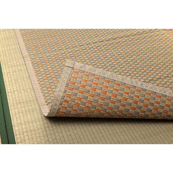 上敷き 江戸間6畳(約261×352cm) ゴザ い草 国産 抗菌防臭