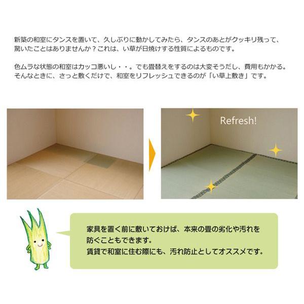 (タイムセール中) い草ラグ 団地間3畳 約170×255cm おしゃれ 国産_3
