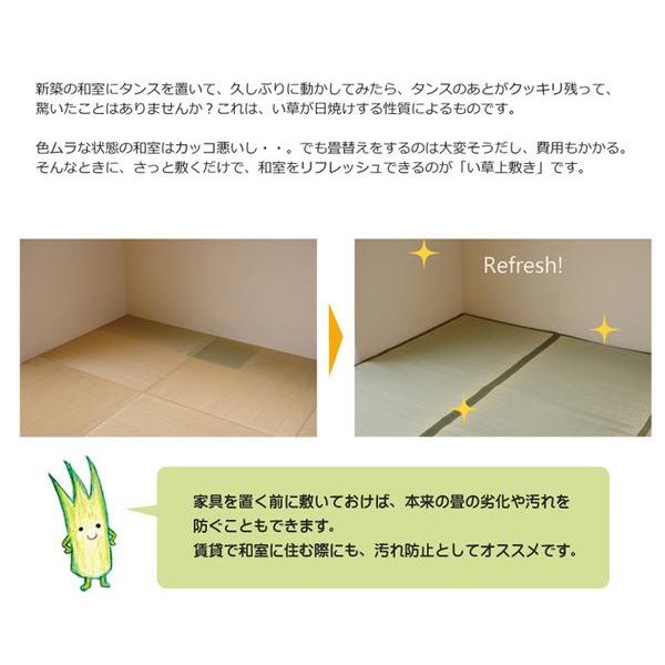 い草ラグ 本間8畳 約382×382cm おしゃれ 国産