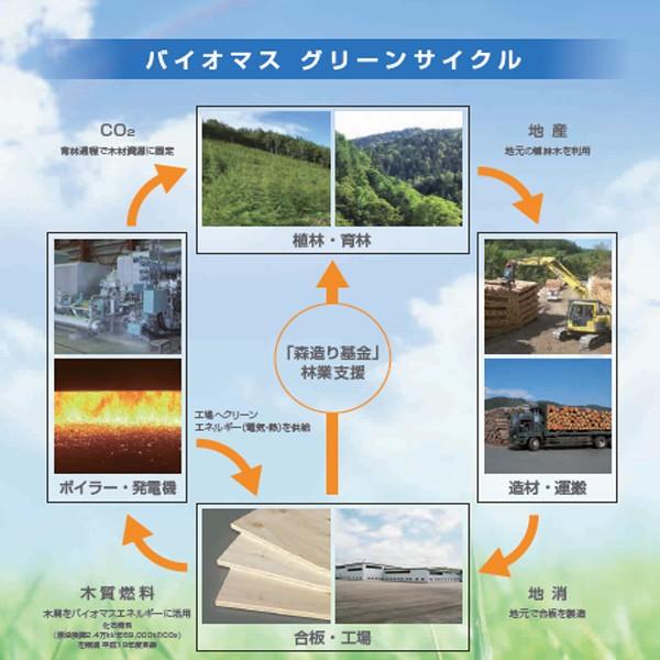 クロス下地用合板 地球樹mクロス 9 5mmｘ910mmｘ10mm A品 2枚組 13 5kg a1 木材 Diy 北零wood 通販 Yahoo ショッピング