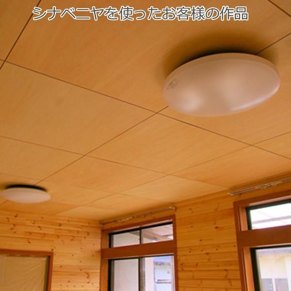 シナベニヤ 準両面 合板 5枚セット 厚さ15mmｘ巾12mmｘ長さ2430mm 117 6kg Diy 木材 シナ合板 しな 安心安全のフォースター a1i5 木材 Diy 北零wood 通販 Yahoo ショッピング