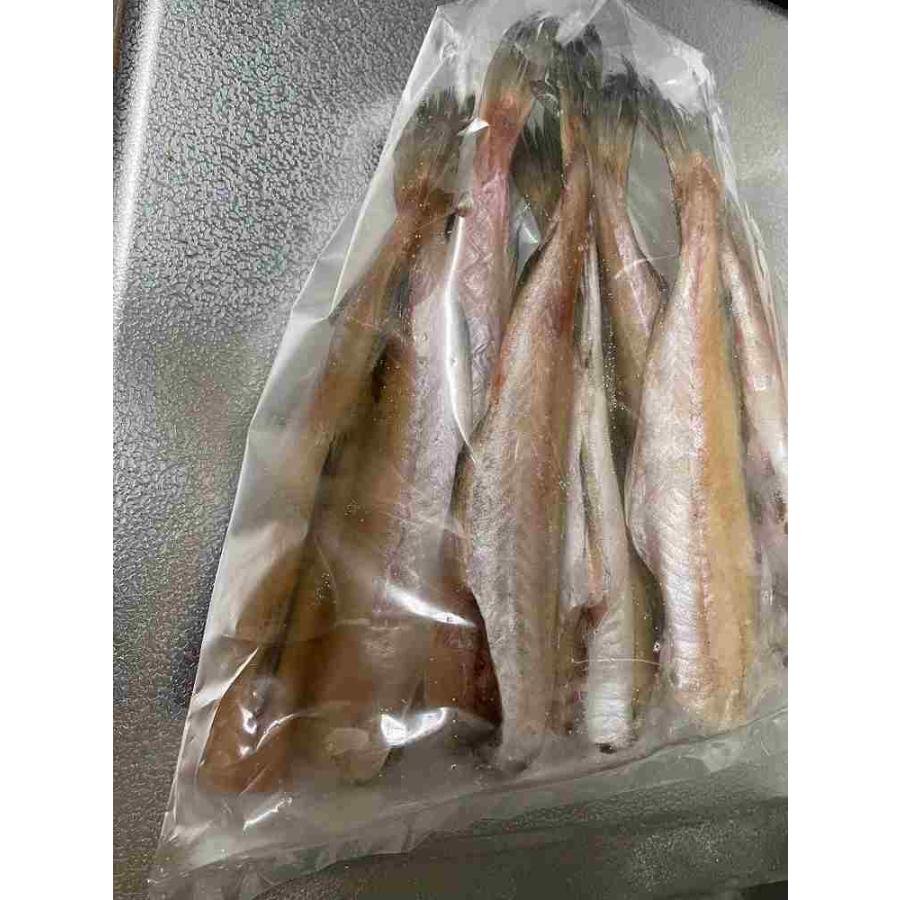 ダイエットに 姫たら丸干 １ｋｇ 高タンパク低カロリー 朝の一品に 夕食のおかず お酒のおつまみ Himetara1 北陸の街 通販 Yahoo ショッピング