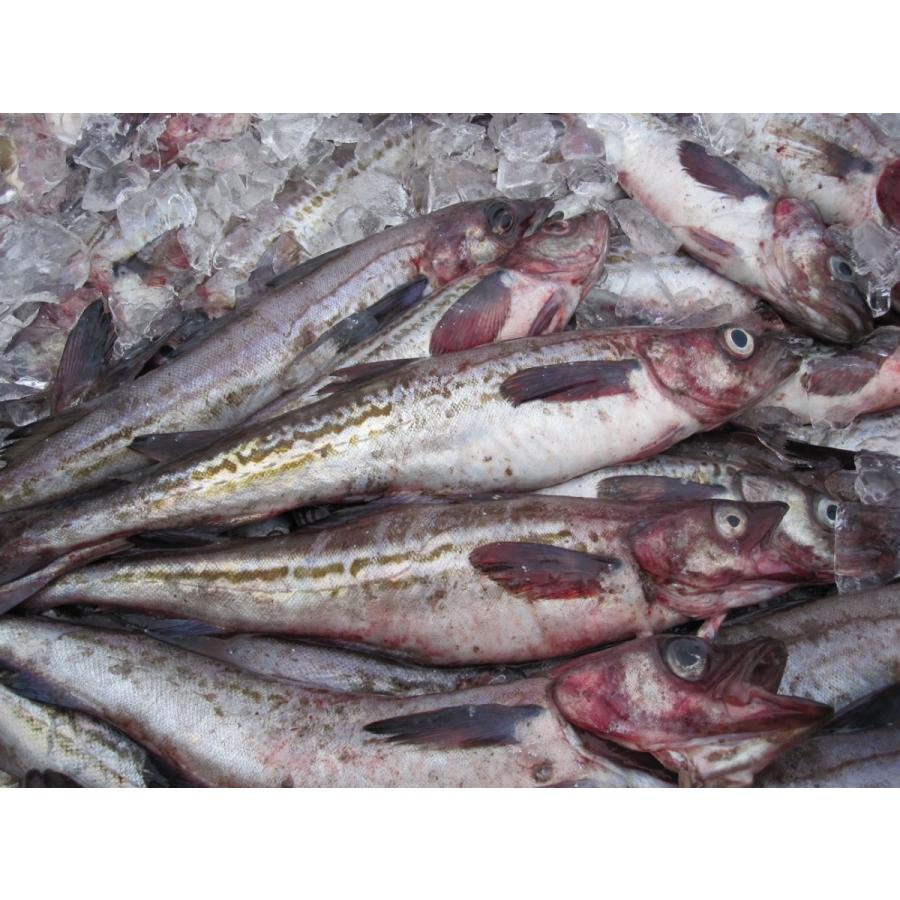 ダイエットに 姫たら丸干 １ｋｇ 高タンパク低カロリー 朝の一品に 夕食のおかず お酒のおつまみ Himetara1 北陸の街 通販 Yahoo ショッピング