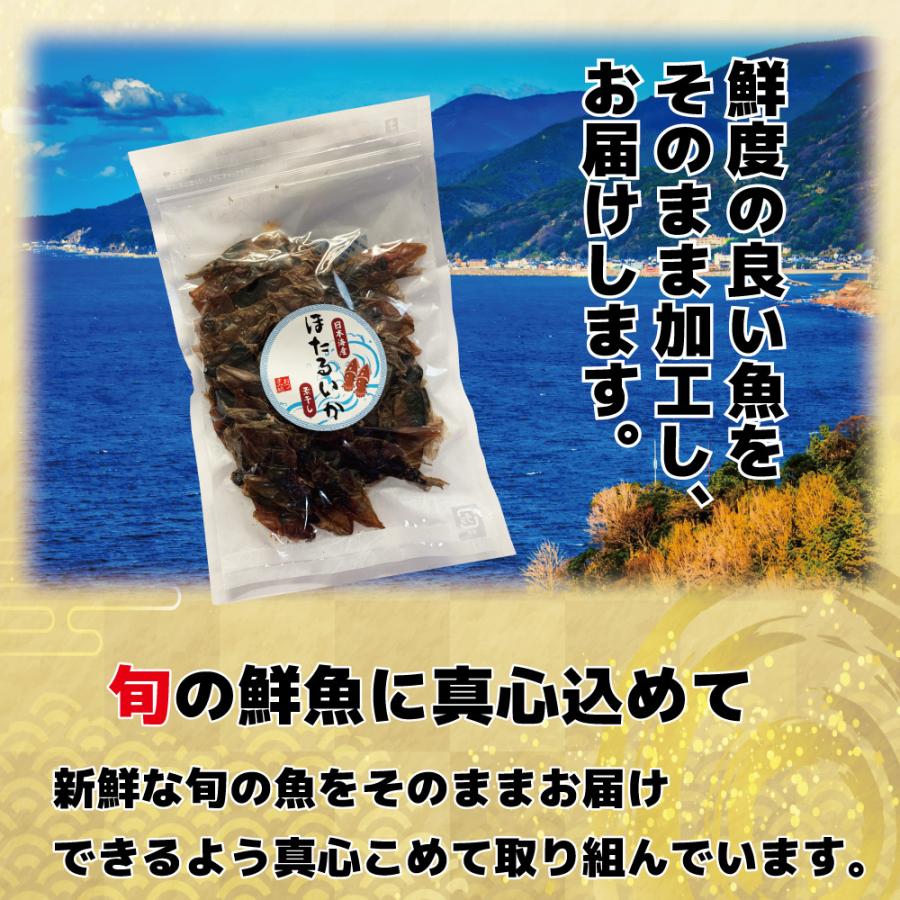 ホタルイカ 素干し ほたるいか 晩酌 業務用 100g 珍味 干物 無添加食品 おつまみ 海産 お徳用