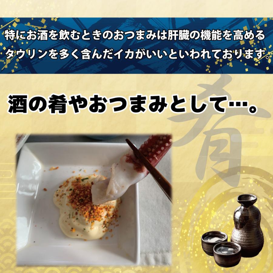 信頼 いか一夜干し２尾入り 2パック お徳用 大型イカ ふっくら肉厚 職人技 旨味あふれる Materialworldblog Com