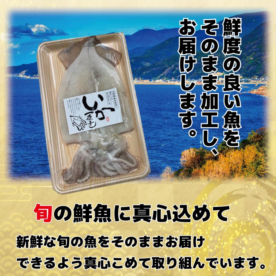 大型いか一夜干し１尾入り２パック 大型イカ ふっくら肉厚 職人技 旨味あふれる 海鮮 イカ いか 一夜干し 大きい 北陸応援｜hokuriku-st｜03