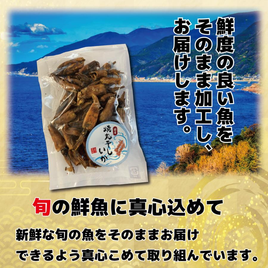 おつまみ 肝入り焼き丸干しいか 焼き丸イカ 業務用 80g 干物 珍味 焼き ワタ入り 一口サイズ　チャック付き袋入り 海鮮 肝 イカ 北陸応援｜hokuriku-st｜04