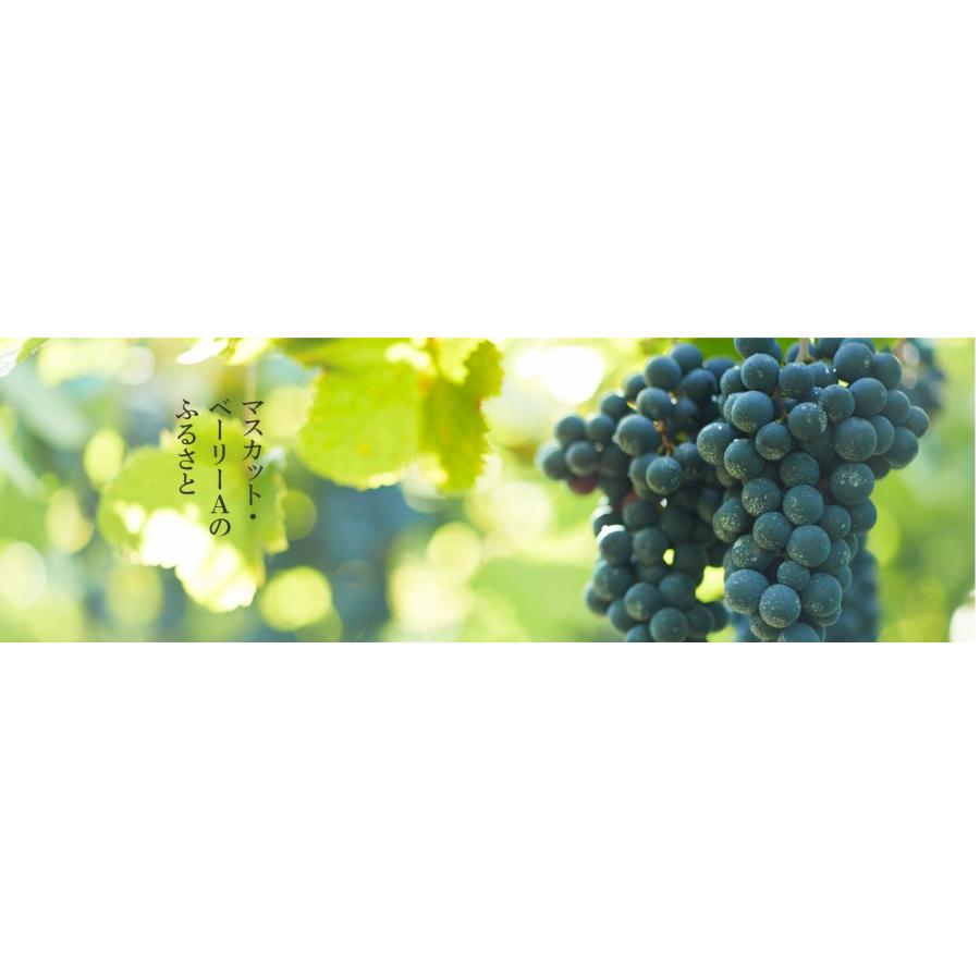 岩の原葡萄園（IWANOHARA VINEYARD） 【W】岩の原ワイン 善 各種