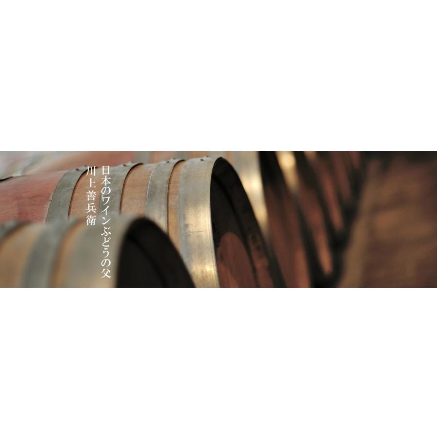 岩の原葡萄園（IWANOHARA VINEYARD） 【W】岩の原ワイン 善 各種
