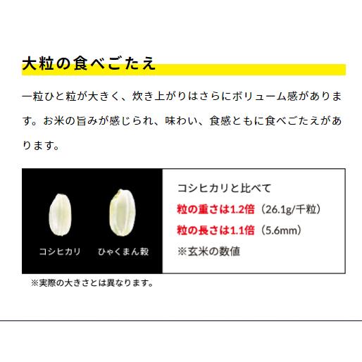 マイハート ふっくら大粒 ひゃくまん穀ごはん 180g×3食入 12 マイハート ふっくら大粒 ひゃくまん穀ごはん 180g×3食入 12