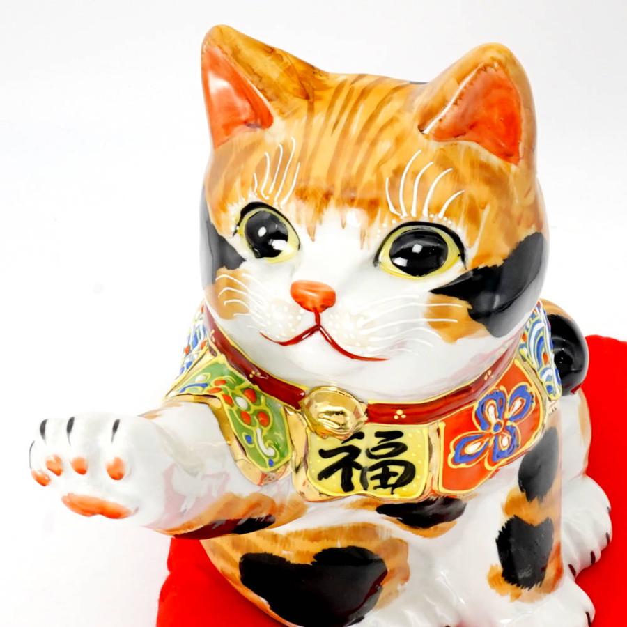 九谷焼 招き猫 タッチ猫 6.5号毛長三毛（布団付）10012692 : 北山堂