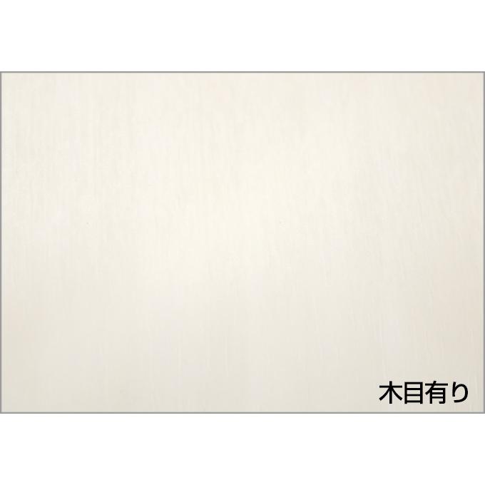 DAIKEN住宅 タックシート1m WH(ネオホワイト)色(PQA-TSR3WH DAIKEN住宅 タックシート1m WH(ネオホワイト)色(PQA-TSR3WH
