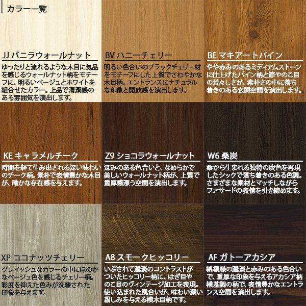 断熱玄関引戸 コンコードS30[顔認証キー仕様] 断熱タイプ C02：AC100V式 【ラッチ】 袖付きタイプ(幅1870mm×高2235mm)外引込みタイプ[幅1875mm×高2195mm]