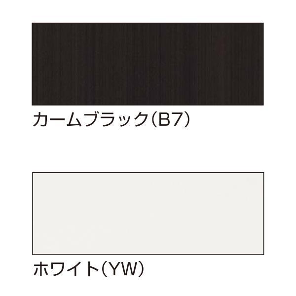 YKKAP玄関　リフォーム玄関ドア　取替玄関ドア　デュガードデュオ用[DH=2250用]　両袖FIX[ポスト付]：D-2051（枠なし）[ドア幅:842／640mm×ドア高:2250mm]