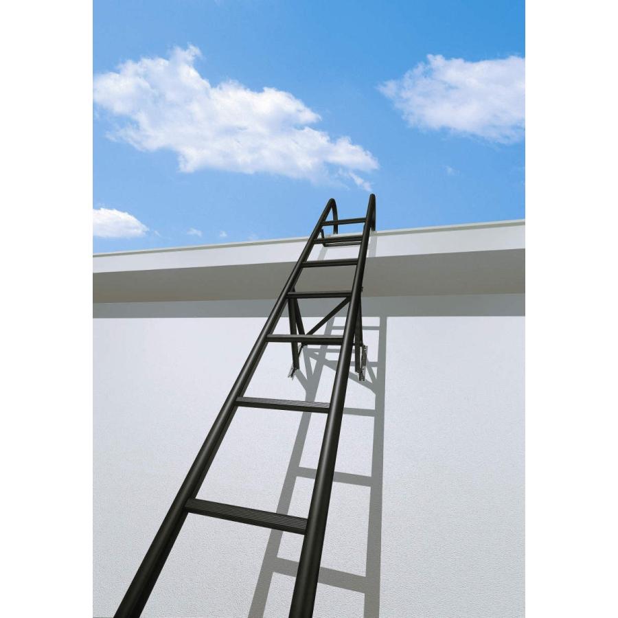 YKK AP YKKAPウォールエクステリア アルミはしごエクスタラップII