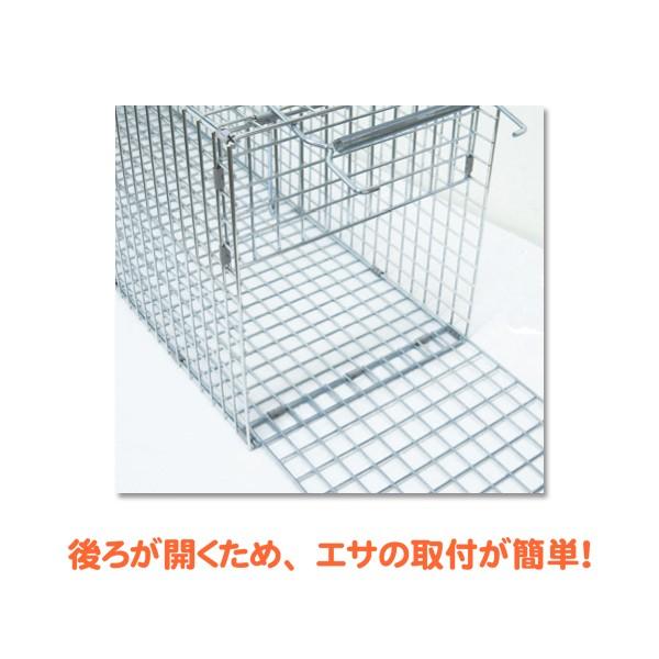 動物捕獲器 捕獲器：ジャンボRB65 290×290×650mm 1個入り【ネズミ 