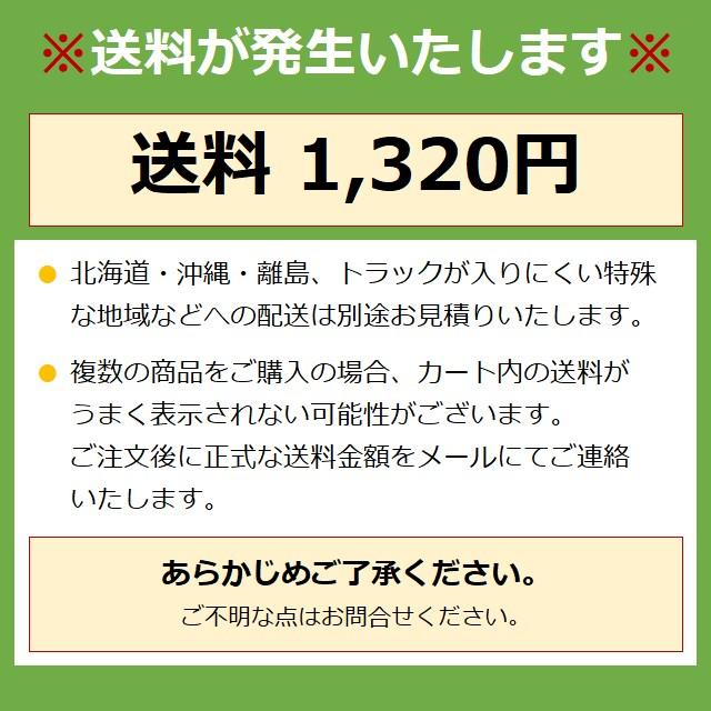 日東電工　No.3200　ダンプロンエース　透明　80巻入　38mm×50m