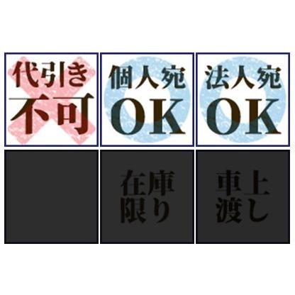 ニコン SMZ745-1 顕微鏡 内斜系 顕微鏡 ニコン SMZ745-1 内斜系