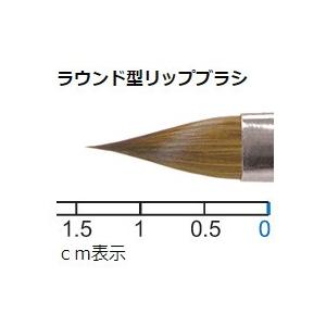 メイクブラシ 熊野筆 化粧筆／竹田ブラシ製作所リップブラシ No.58C