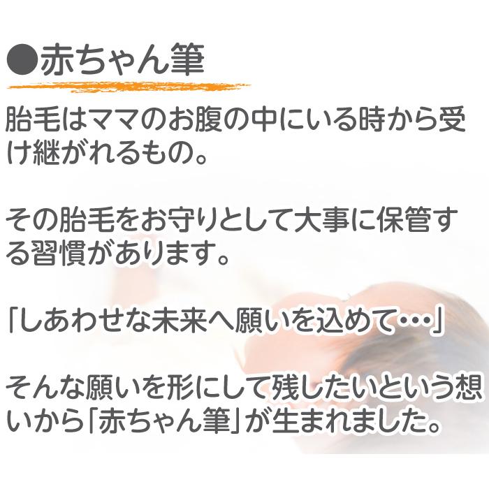 赤ちゃん筆 胎毛筆 赤ちゃん 保存 化粧筆 赤ちゃん筆 胎毛筆  naturalコース／出産祝い ギフト ファーストカット くせ毛 0歳 1歳 2歳 誕生記念の画像