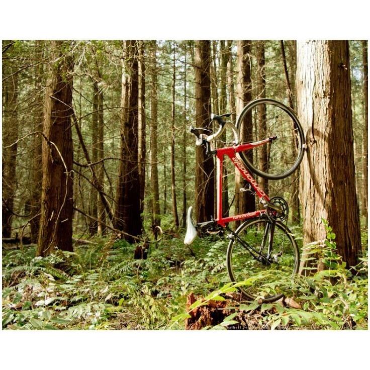 ロジック CLUG 自転車スタンド Sサイズ ブラック 1台 タイヤ固定 防犯・盗難防止 室内用 小さめ :b-01-lg-clug-s:HOLA.FUショップ - 通販 - Yahoo!ショッピング ロジック CLUG 自転車スタンド Sサイズ ブラック 1台 タイヤ固定 防犯・盗難防止 室内用 小さめ :b-01-lg-clug-s:HOLA.FUショップ - 通販 - Yahoo!ショッピング