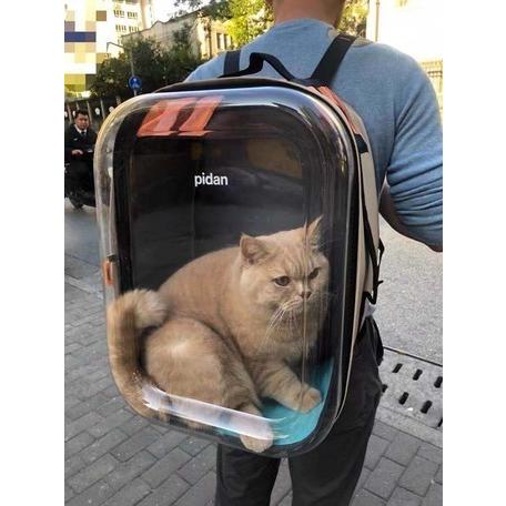 pidan（ピダン） 透明窓 ゆったりサイズ ペット専用 クリアリュック