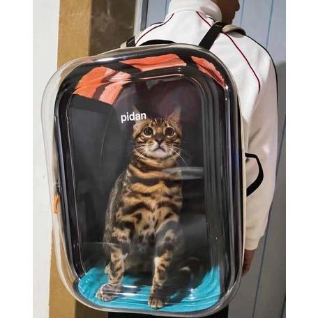 pidan（ピダン） 透明窓 ゆったりサイズ ペット専用 クリアリュック