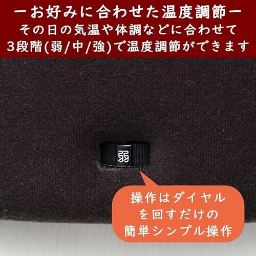 [山善] 電気あんか 平型 省エネ 温度調節3段階 電気湯たんぽ ブラウン YDW-H607D｜holidaylife｜03