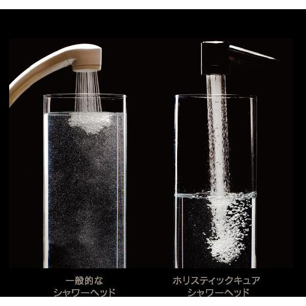 シャワーヘッド ホリスティックキュア 節水 微細バブル 残留塩素