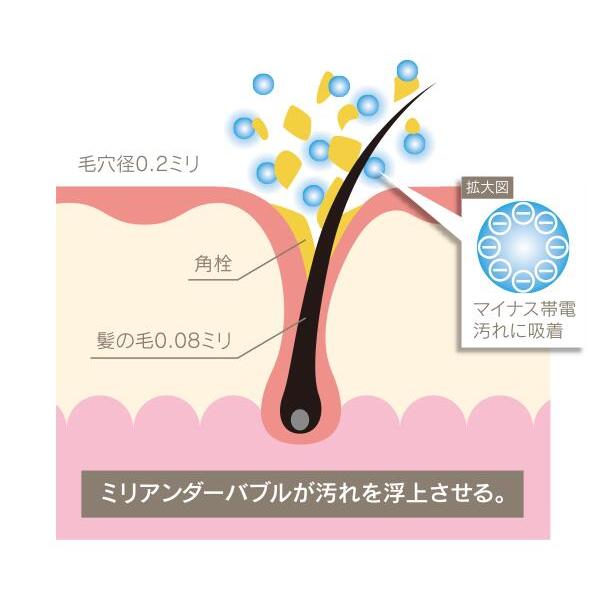 シャワーヘッド ホリスティックキュア シャワーヘッド 節水 微細バブル 残留塩素除去 テラヘルツ美容水 |  | 05