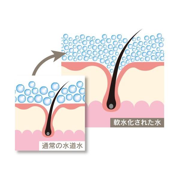 シャワーヘッド ホリスティックキュア シャワーヘッド 節水 微細バブル 残留塩素除去 テラヘルツ美容水 |  | 06