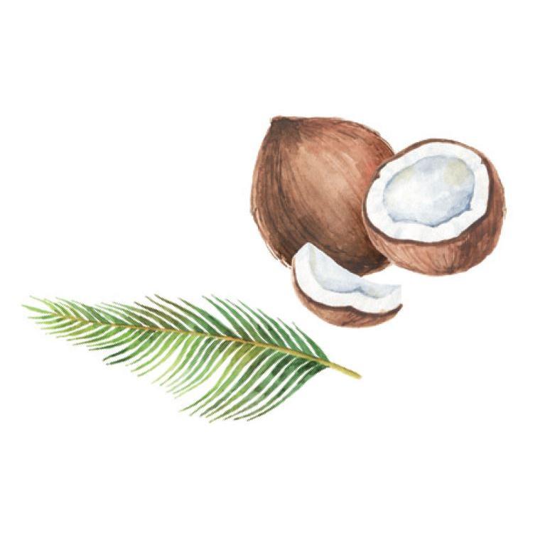 ホリスティックキュア Tera+クレンジングウォーター 洗顔 クレンジング |  | 02