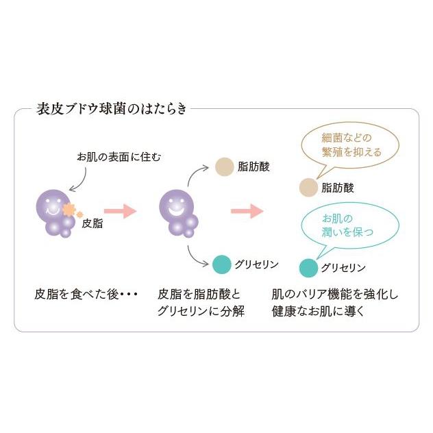 ホリスティックキュア Tera+クレンジングウォーター 洗顔 クレンジング |  | 03